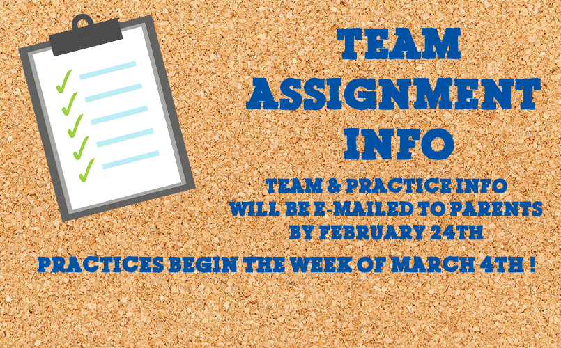 Team Assignment Info