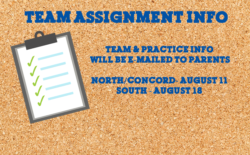 Team Assignment Info