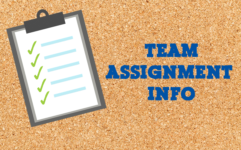 Team Assignment Notes
